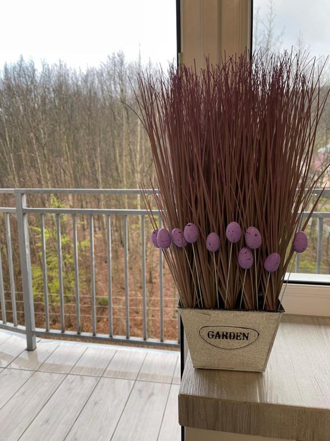 Апартаменты Luxury Lavander Polyana  Luaran gambar